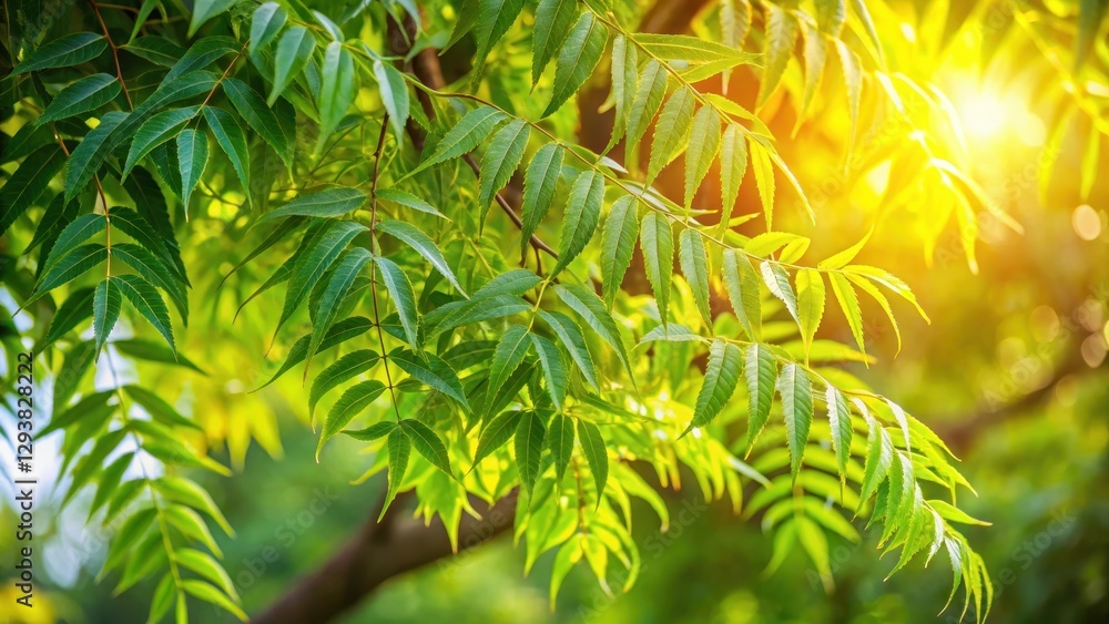 Sacred Neem leaves - symbol of healing and divine grace — புனித வேப்பிலைகள்